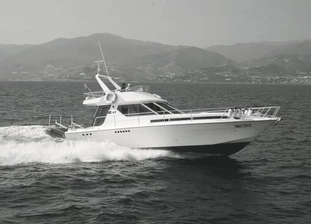 Предпосылки успеха. Модель AZ 43' Bali